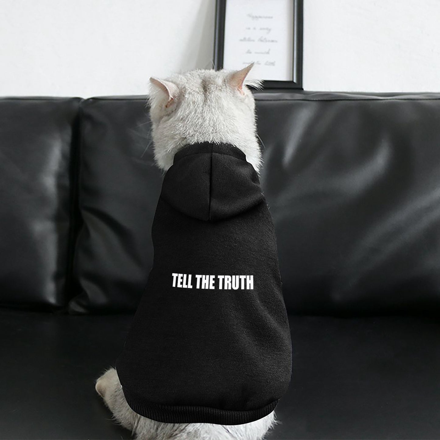 TELL THE TRUTH PET HOODED SUIT