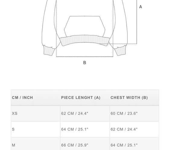 Tell The Truth Hoodie