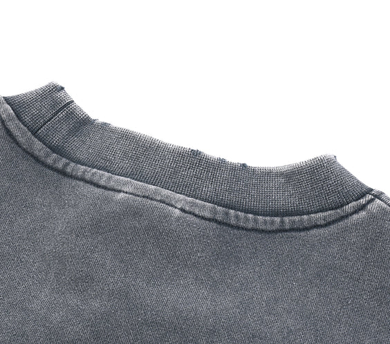 Berlin Snow Washed Cropped Sweatshirt